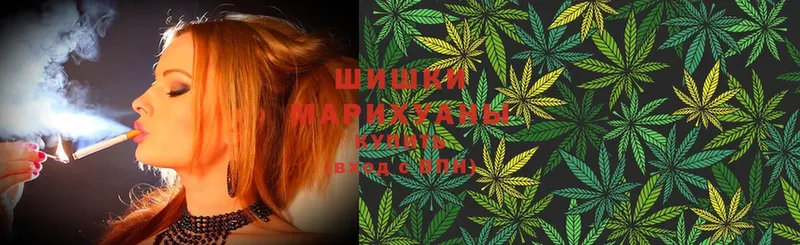 Шишки марихуана White Widow  Богородицк 